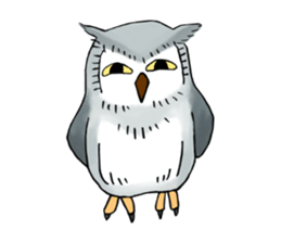 Lazy Grey Owl sticker #9443553