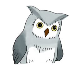 Lazy Grey Owl sticker #9443556