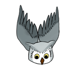 Lazy Grey Owl sticker #9443558