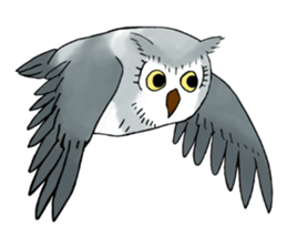 Lazy Grey Owl sticker #9443559
