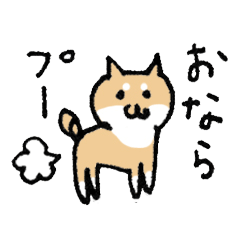 Funny Shiba dog