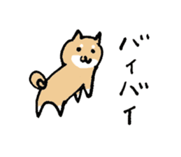 Funny Shiba dog sticker #9443603