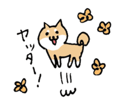 Funny Shiba dog sticker #9443612