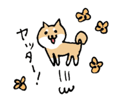 Funny Shiba dog sticker #9443612