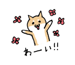 Funny Shiba dog sticker #9443613
