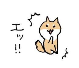 Funny Shiba dog sticker #9443622