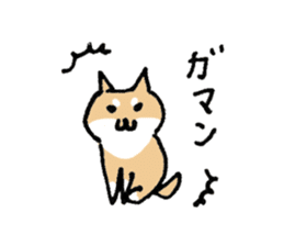 Funny Shiba dog sticker #9443625
