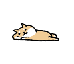 Funny Shiba dog sticker #9443631