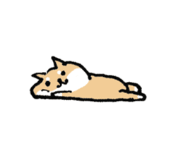 Funny Shiba dog sticker #9443631