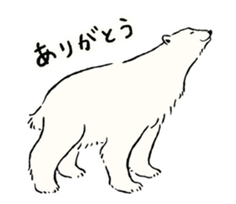 Animals of the Arctic & the Antarctic 5 sticker #9444960