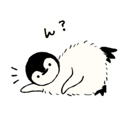 Animals of the Arctic & the Antarctic 5 sticker #9444970