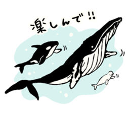 Animals of the Arctic & the Antarctic 5 sticker #9444981