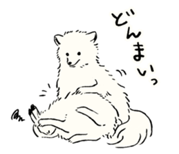 Animals of the Arctic & the Antarctic 5 sticker #9444988