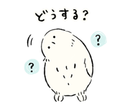 Animals of the Arctic & the Antarctic 5 sticker #9444994