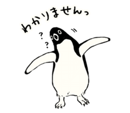 Animals of the Arctic & the Antarctic 5 sticker #9444997