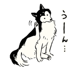 Animals of the Arctic & the Antarctic 5 sticker #9444998