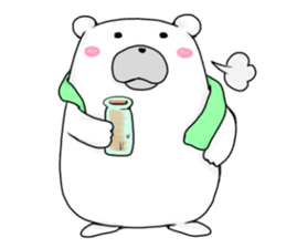 Can be used everyday!Feeling of bear sticker #9447507
