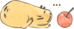 Capybara daily sticker #9447588