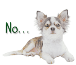 Cute dogs! sticker #9453370