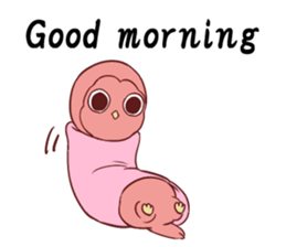 Twink owl English edition sticker #9454843