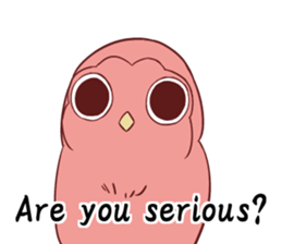 Twink owl English edition sticker #9454847