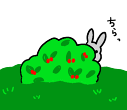 Netherland Dwarf, AME sticker #9454986