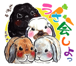 Sticker of rabbit owners sticker #9456608