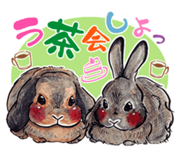 Sticker of rabbit owners sticker #9456609