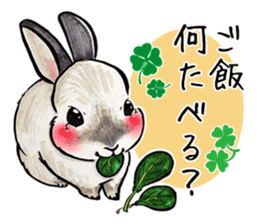 Sticker of rabbit owners sticker #9456610