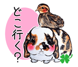 Sticker of rabbit owners sticker #9456611