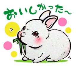 Sticker of rabbit owners sticker #9456613