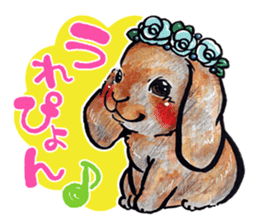 Sticker of rabbit owners sticker #9456616