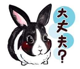 Sticker of rabbit owners sticker #9456622