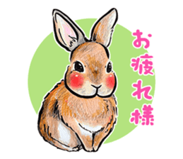 Sticker of rabbit owners sticker #9456623