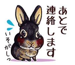 Sticker of rabbit owners sticker #9456625