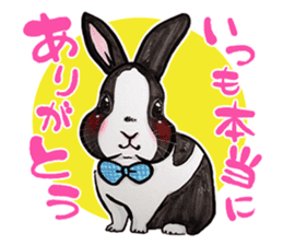Sticker of rabbit owners sticker #9456626