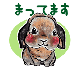 Sticker of rabbit owners sticker #9456628