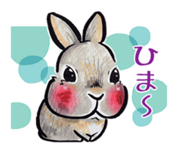 Sticker of rabbit owners sticker #9456631