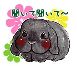 Sticker of rabbit owners sticker #9456632