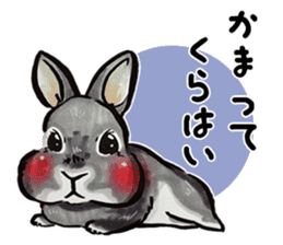 Sticker of rabbit owners sticker #9456634