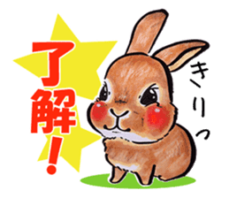 Sticker of rabbit owners sticker #9456640