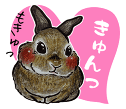 Sticker of rabbit owners sticker #9456641