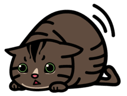 Jasper's Cats sticker #9457551