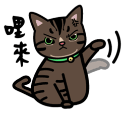 Jasper's Cats sticker #9457562