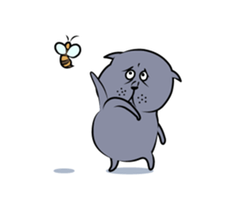 Hi I Kupi 3 sticker #9460771