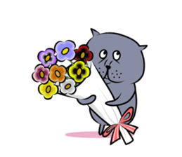 Hi I Kupi 3 sticker #9460794