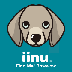 iinu - Weimaraner