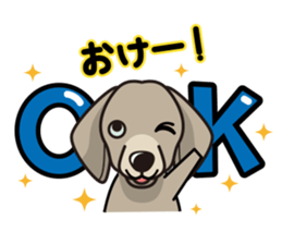 iinu - Weimaraner sticker #9460929