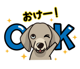 iinu - Weimaraner sticker #9460929
