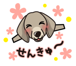 iinu - Weimaraner sticker #9460930